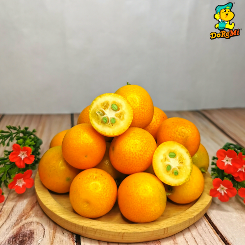 China Golden Tangerine / Kumquat (350g/pkt)