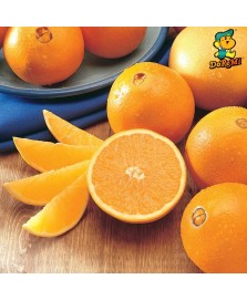 Australia Navel Orange (6pcs/pkt)