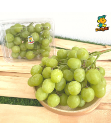 US Kelly Green Grapes Seedless (500g/pkt)