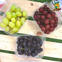 Spain Moyca Seedless Grapes (250g x3)