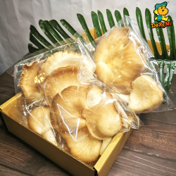 Oyster Mushroom 90g 