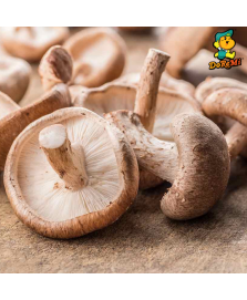 Fresh Shiitake Mushroom 200g 