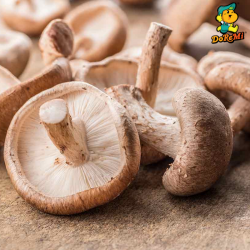 Fresh Shiitake Mushroom 200g 