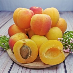 Sugar Apricot (350g/pkt)