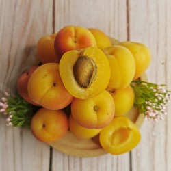 Sugar Apricot (350g/pkt)