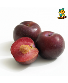 Red Plum (500g/pkt)