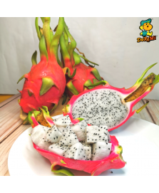 White Flesh Dragon Fruit 