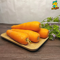 Australia Carrot 500g 