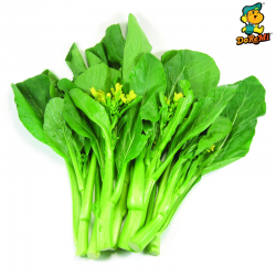 Baby Choy Sum (200g/pkt)