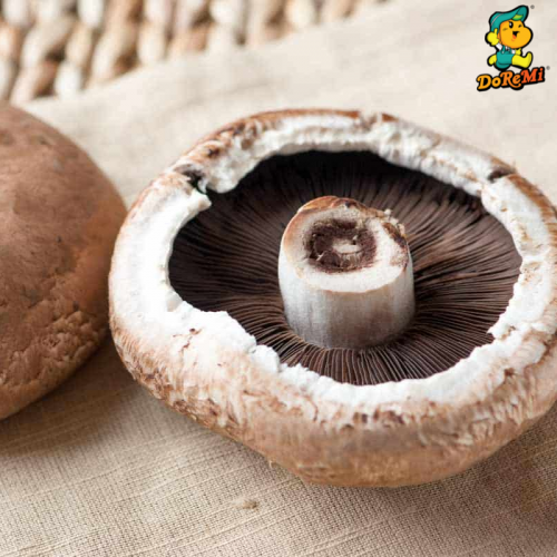 [Pre-Order] Fresh BBQ Portobello Mushroom (250g/pkt)