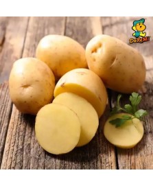 Potato (700g/pkt)