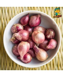 Small Shallot (500g/pkt) 